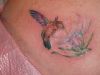 Hummingbird tattoos